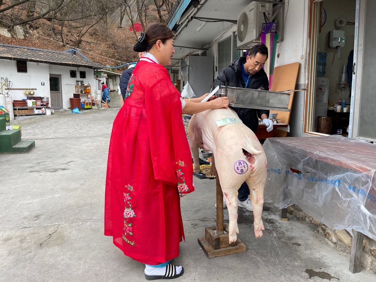 1948697120_jE8X4Ko3_3f9eb2f422796ffa4a278ce2be21dc7e4492c7f8.jpg 이미지크게보기
